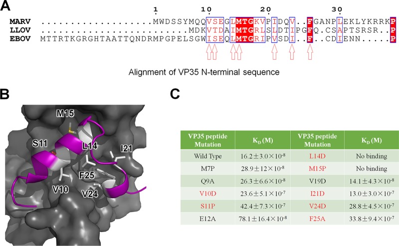 FIG 4