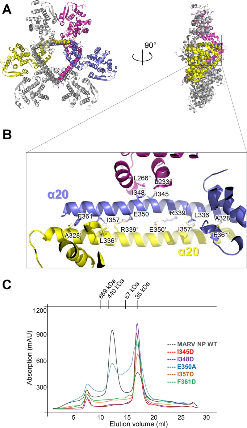 FIG 2