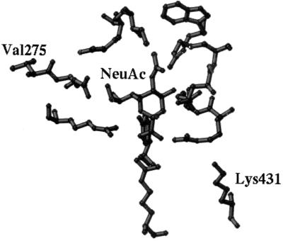 FIG. 5