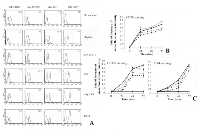 Fig. (1)