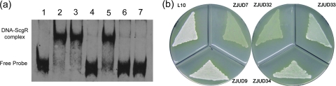 Fig. 5.