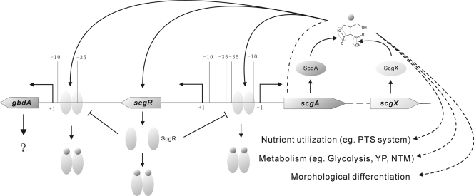 Fig. 8.