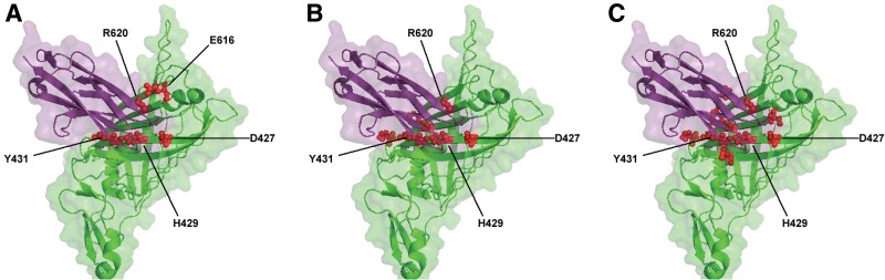 FIG. 5.