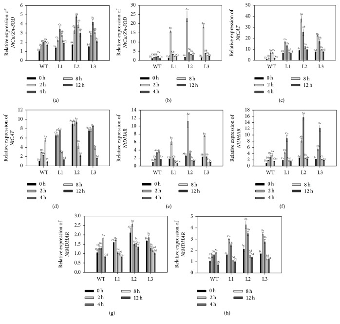 Figure 7