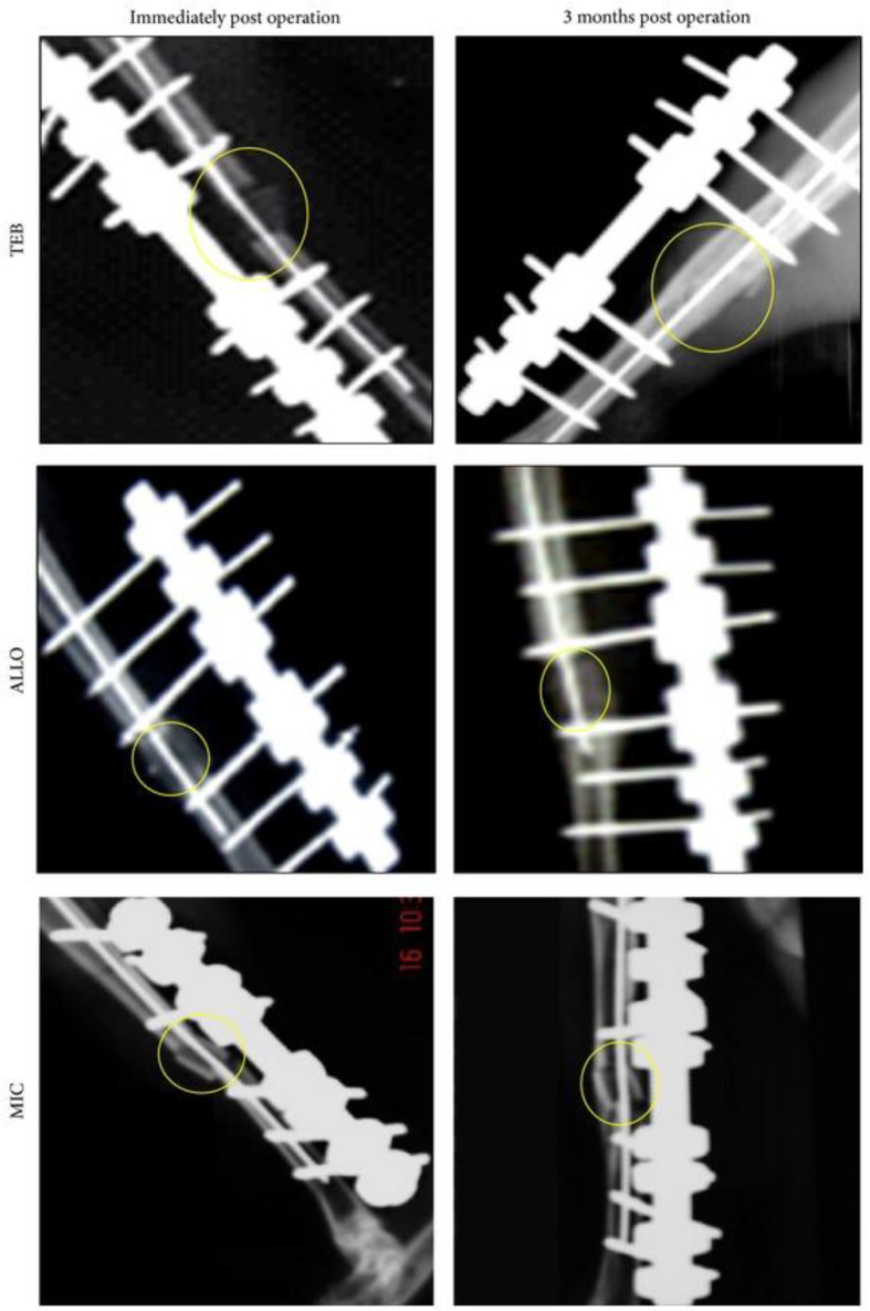 Figure 2