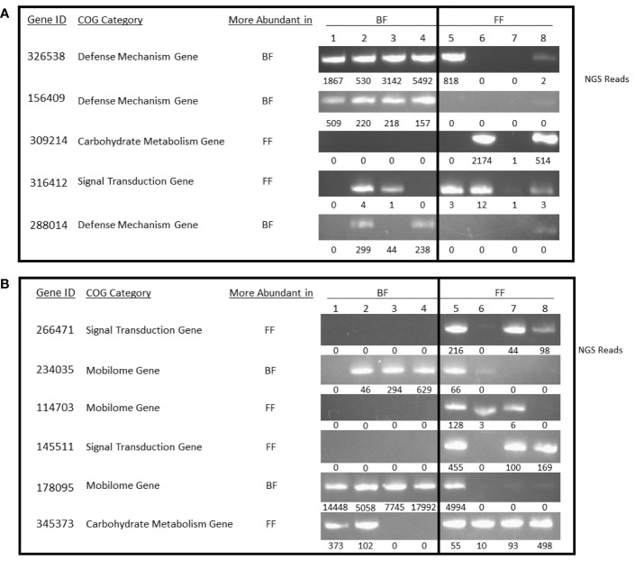 Figure 3