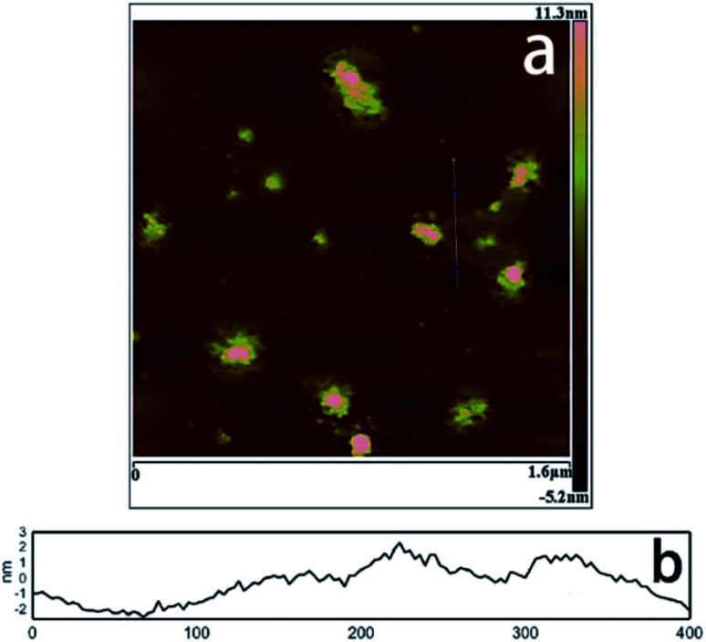 Fig. 18