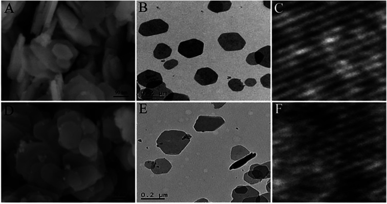 Fig. 5