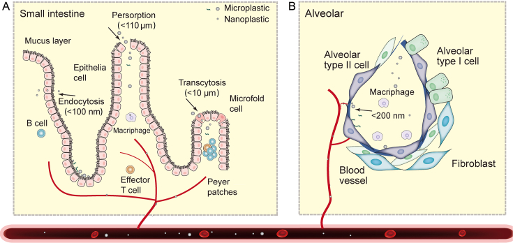 Fig. 1