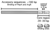 FIG. 1.