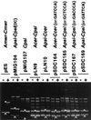 FIG. 4.