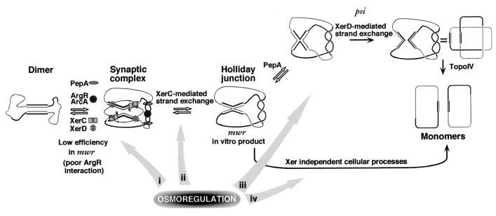 FIG. 9.