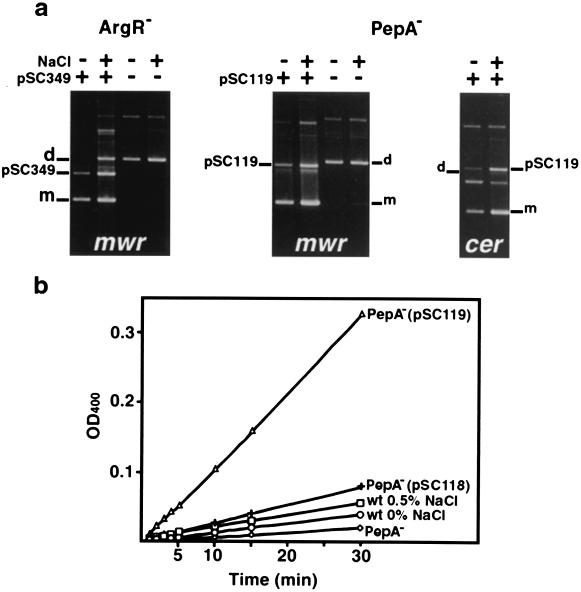 FIG. 7.