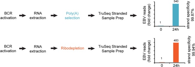 FIG 1