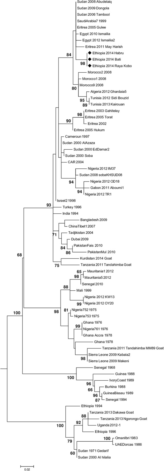 Fig. 4