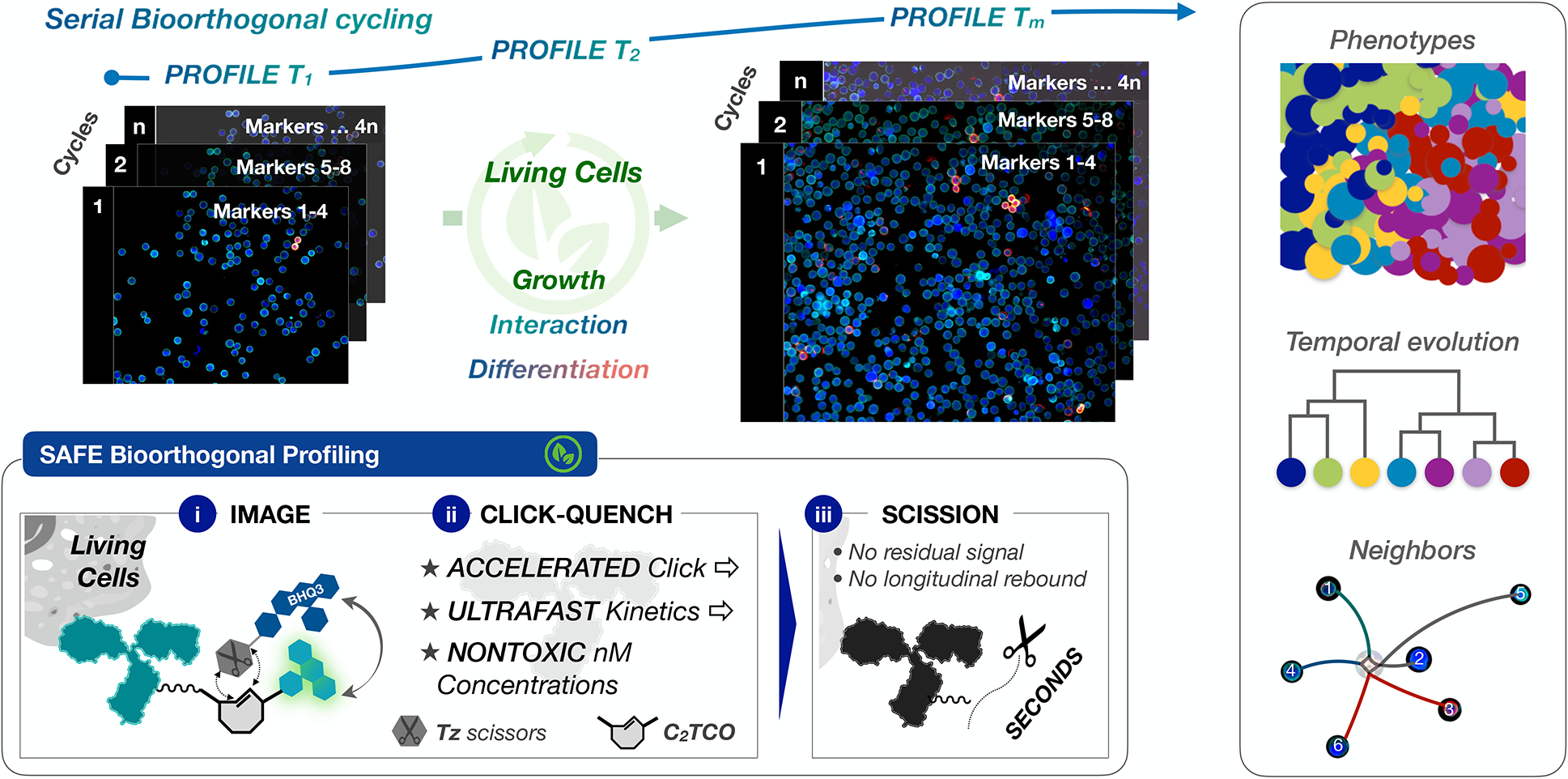 Figure 1 |