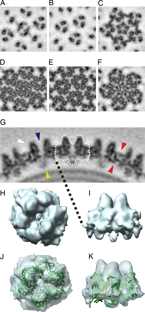 Fig. 3.