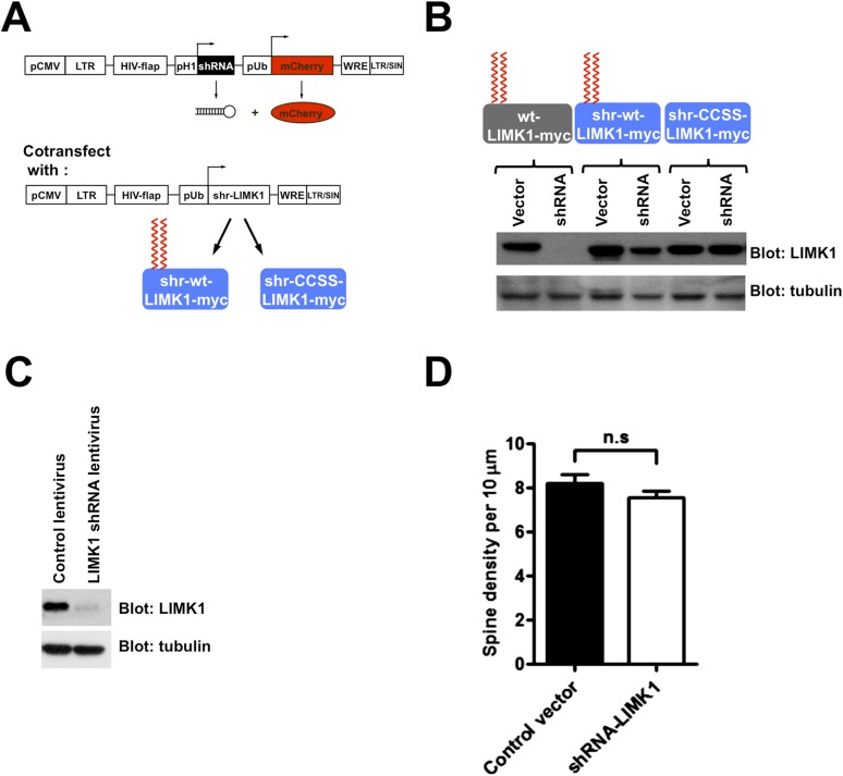 Figure 4—figure supplement 1.