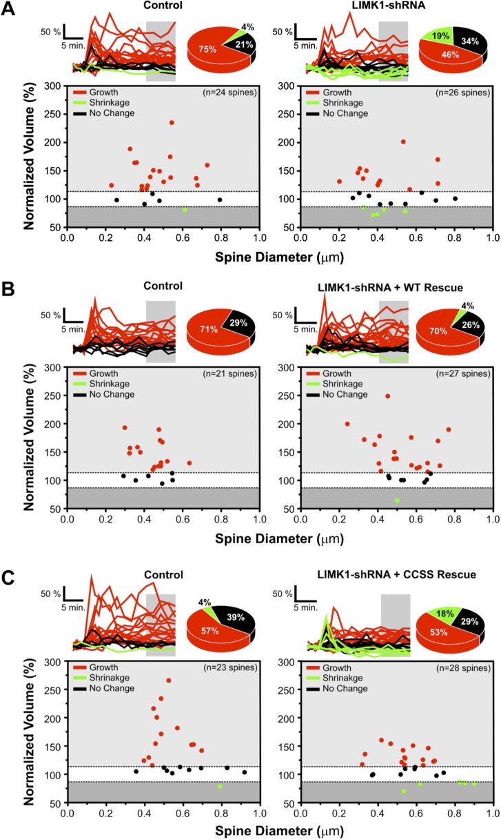 Figure 5—figure supplement 1.