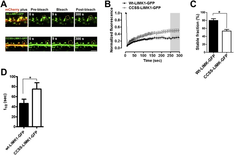 Figure 1—figure supplement 1.