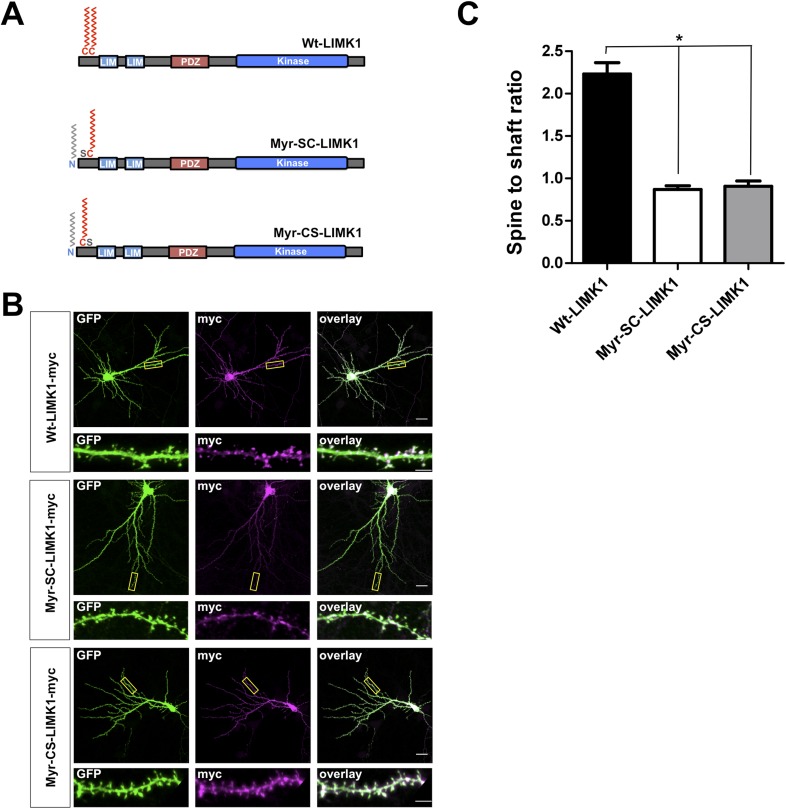 Figure 2—figure supplement 2.