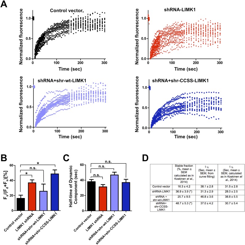 Figure 4—figure supplement 2.