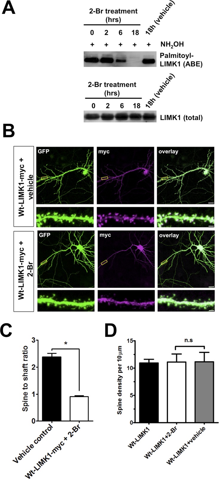 Figure 1—figure supplement 2.