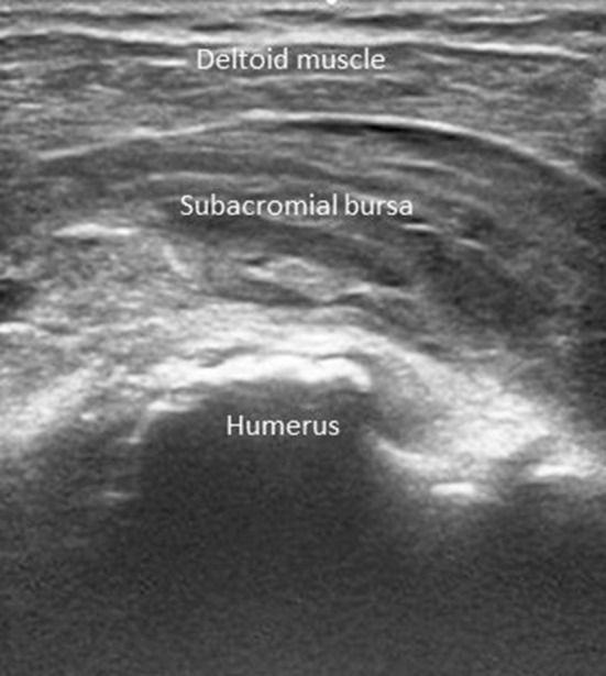 Fig. 8