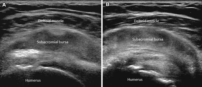 Fig. 7