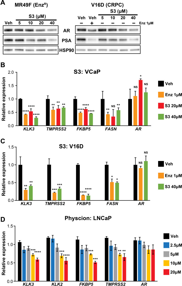 Figure 6—figure supplement 1.