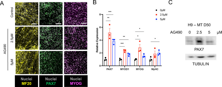 Figure 3: