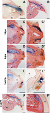 Fig. 3.