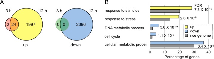 Fig 7