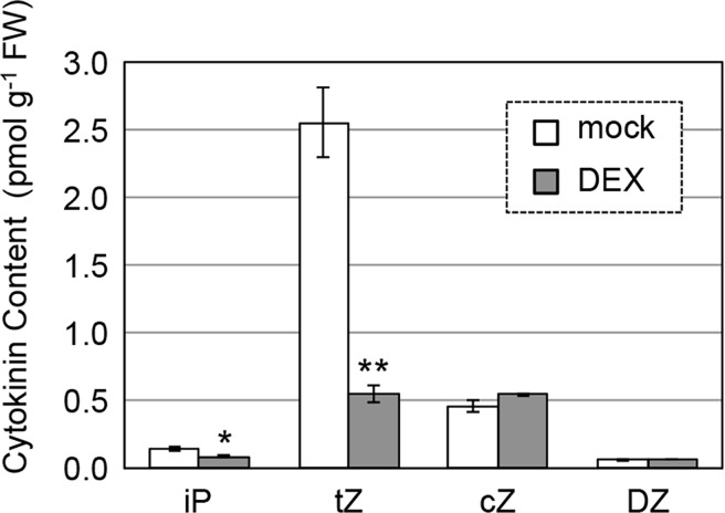 Fig 5