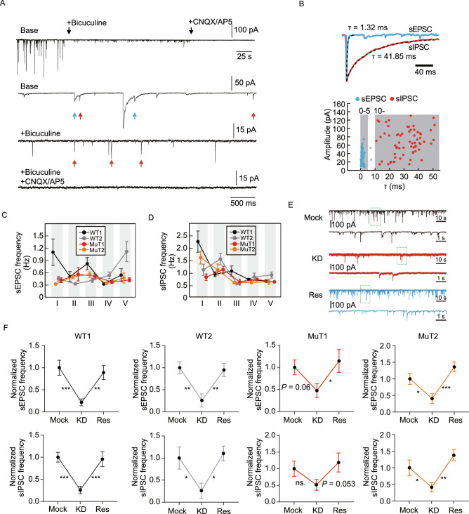 Figure 6