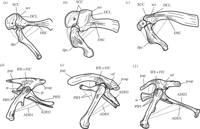 Figure 2.