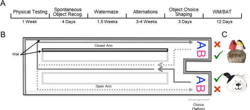 Figure 1: