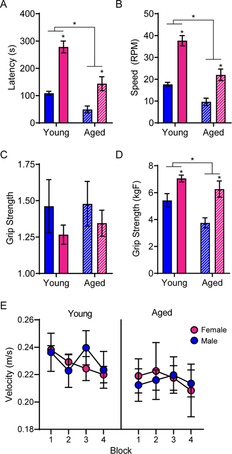 Figure 2: