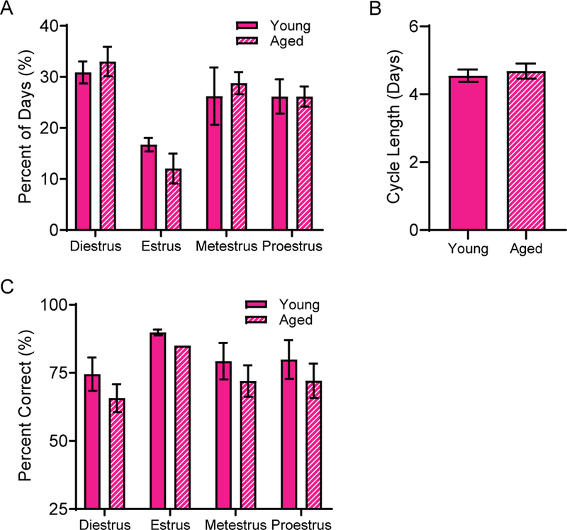 Figure 5: