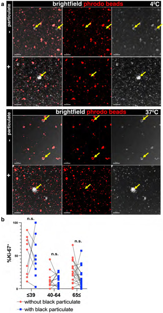 Extended Data Fig. 5.