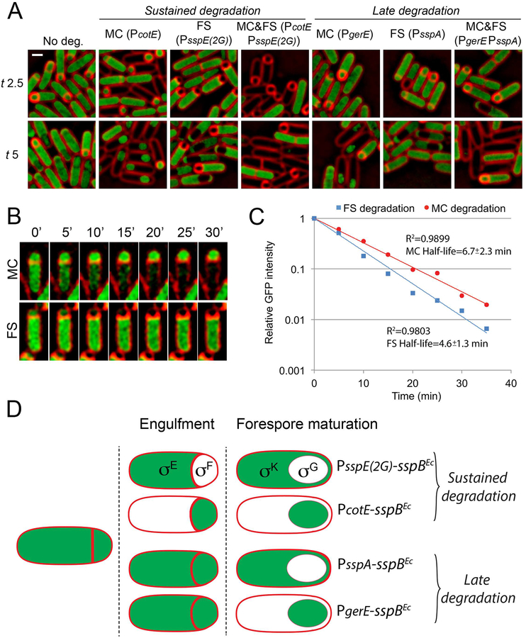 Figure 4.