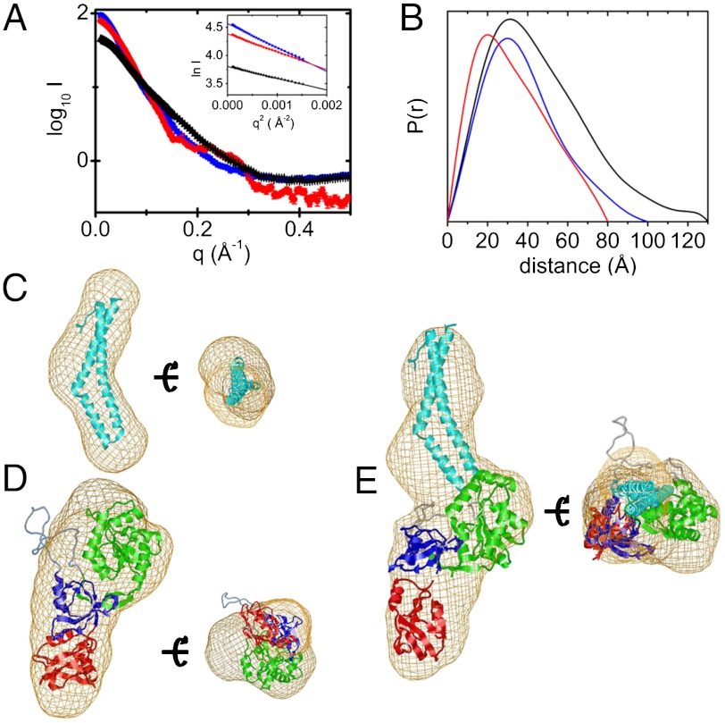 Fig. 2.