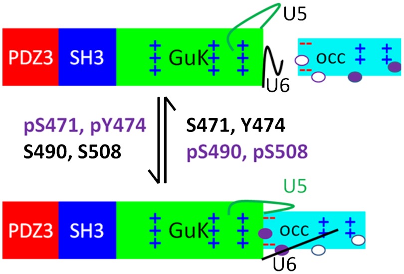 Fig. 7.