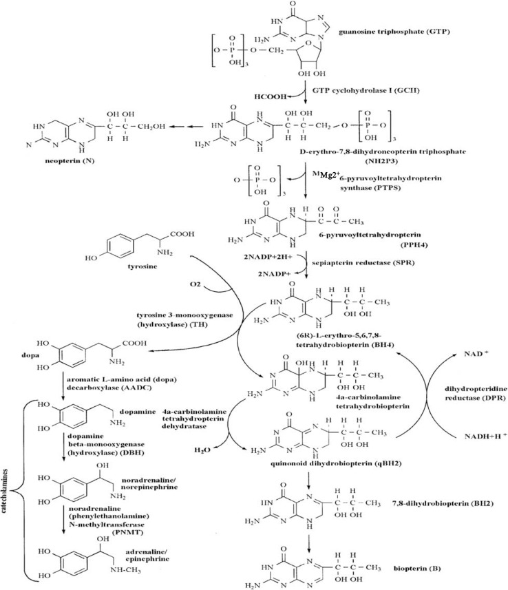 Fig. 3.