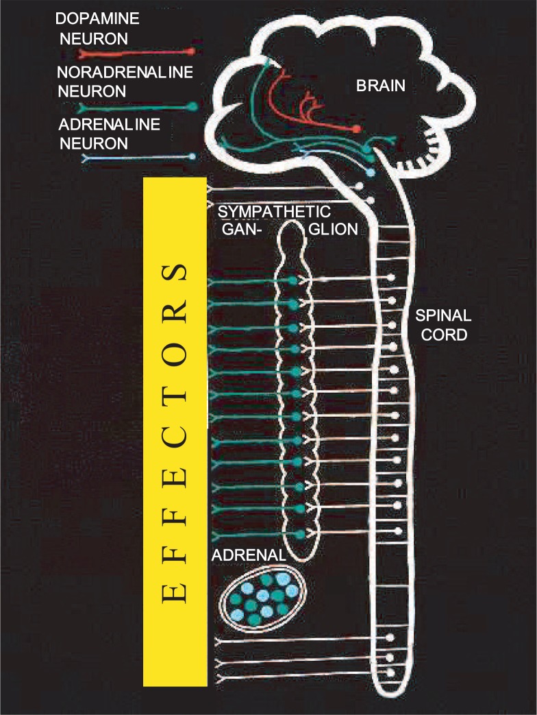 Fig. 2.