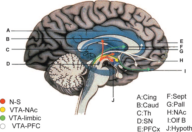 Fig. 5.