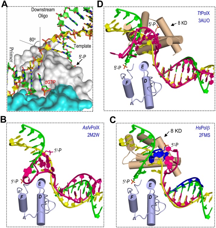 Fig 4