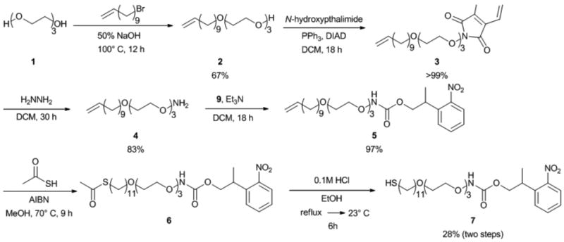 Scheme 2