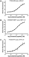 Fig 4