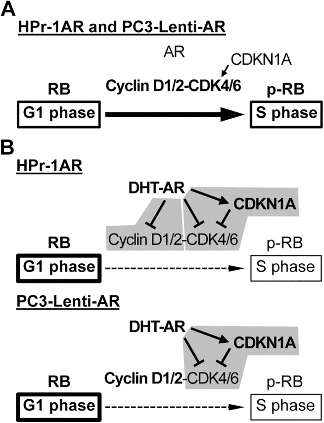 Fig 10